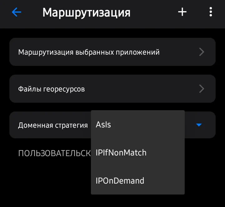 Доменная стратегия в «Маршрутизации»: AsIs: только домены; IPIfNonMatch: сначала домены, затем IP (нужно для geoip); IPOnDemand: продвинутый режим.